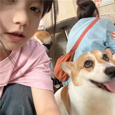 女生抱宠物一人一半情头，独家甜蜜，打造独一无二的CP感