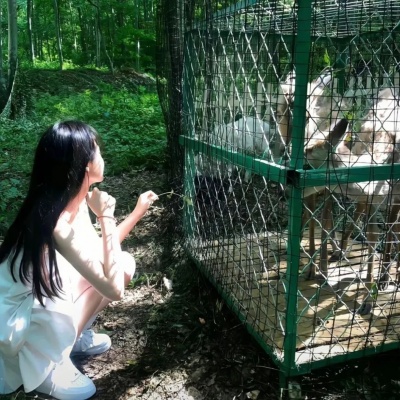 独特雅致！清爽绿色带来心灵舒缓的女生头像
