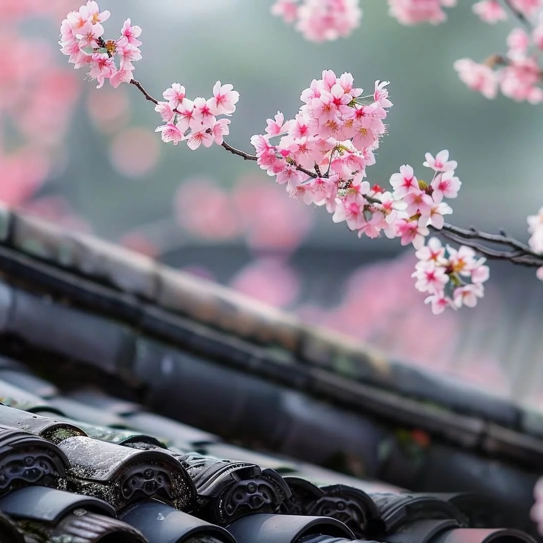 花枝与瓦片屋顶头像图片